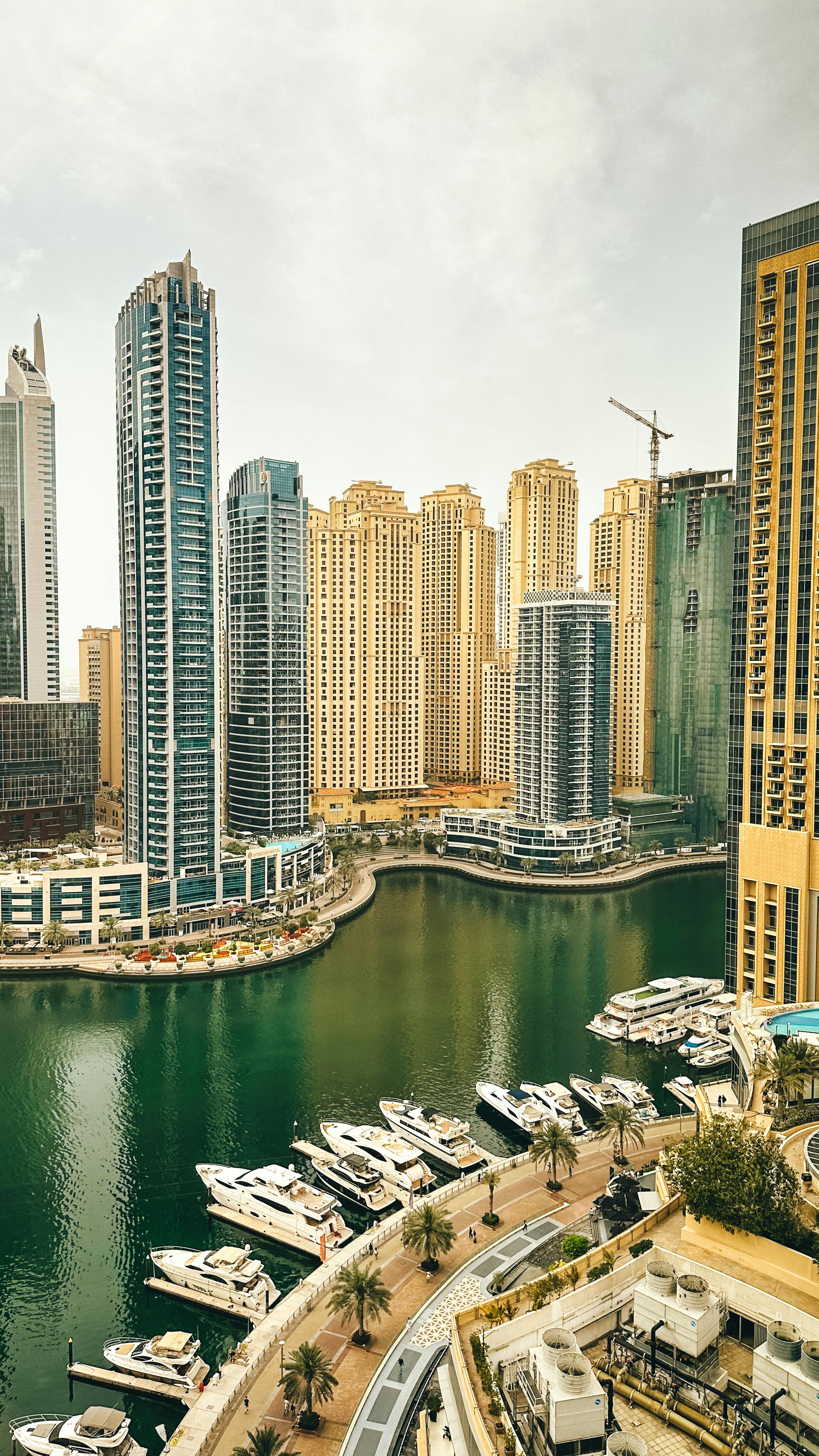 Golden Ticket To Dubai